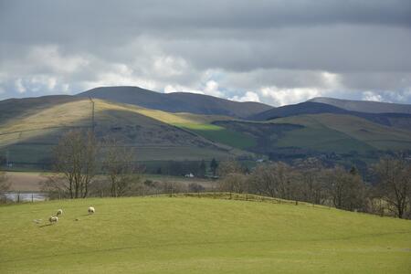 Picture of hills in Scotland with some trees and sheep