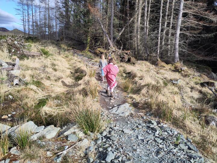 Three children in the Scottish wilderness