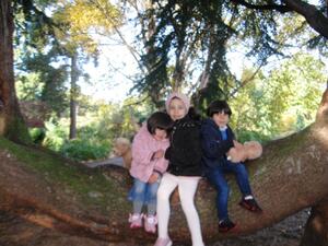 Children in a tree